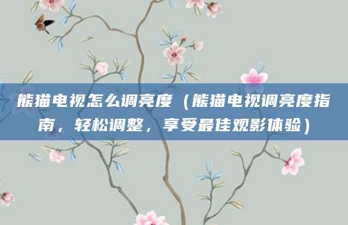 熊猫电视怎么调亮度（熊猫电视调亮度指南，轻松调整，享受最佳观影体验）
