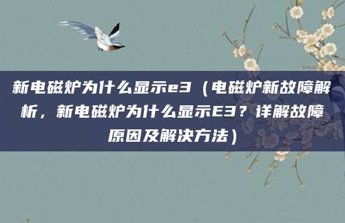 新电磁炉为什么显示e3（电磁炉新故障解析，新电磁炉为什么显示E3？详解故障原因及解决方法）
