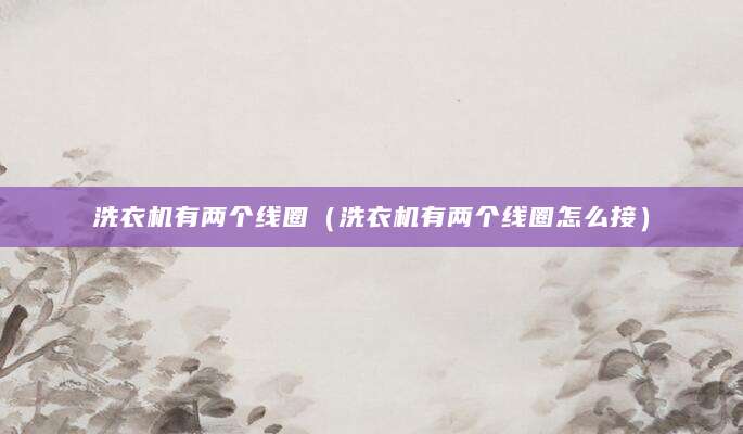 洗衣机有两个线圈（洗衣机有两个线圈怎么接）