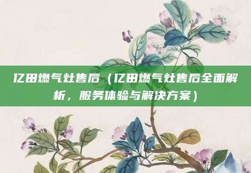 亿田燃气灶售后（亿田燃气灶售后全面解析，服务体验与解决方案）