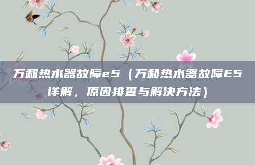 万和热水器故障e5（万和热水器故障E5详解，原因排查与解决方法）