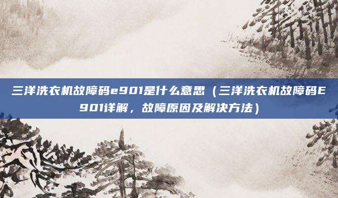 三洋洗衣机故障码e901是什么意思（三洋洗衣机故障码E901详解，故障原因及解决方法）