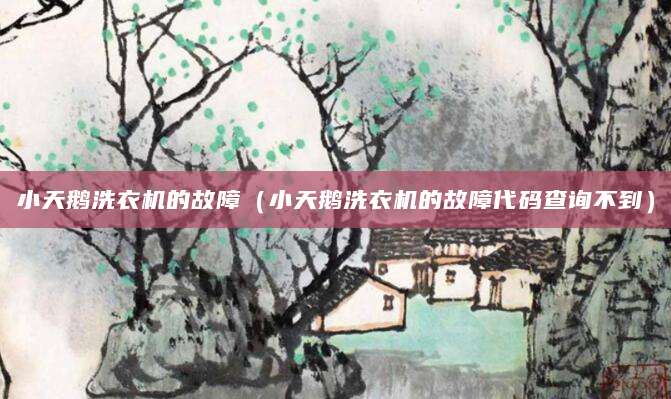 小天鹅洗衣机的故障（小天鹅洗衣机的故障代码查询不到）