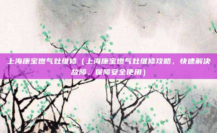 上海康宝燃气灶维修（上海康宝燃气灶维修攻略，快速解决故障，保障安全使用）