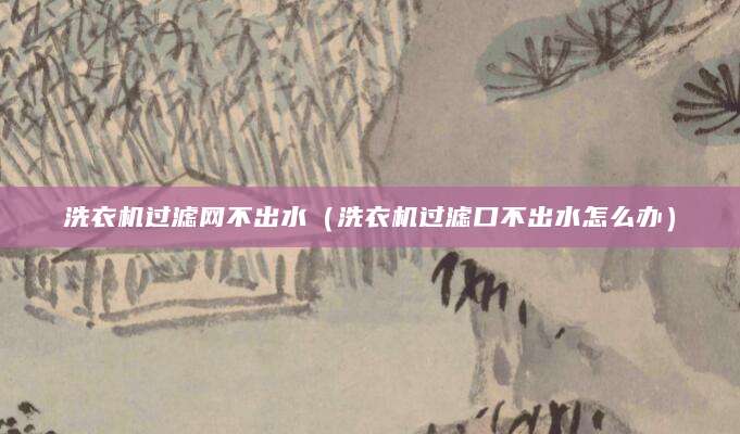 洗衣机过滤网不出水（洗衣机过滤口不出水怎么办）