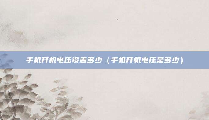 手机开机电压设置多少（手机开机电压是多少）