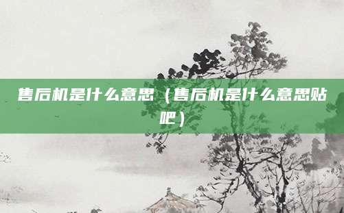 售后机是什么意思（售后机是什么意思贴吧）