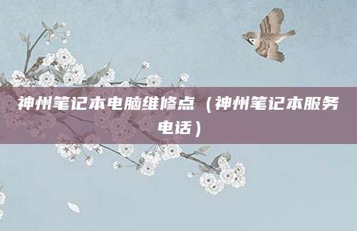 神州笔记本电脑维修点（神州笔记本服务电话）
