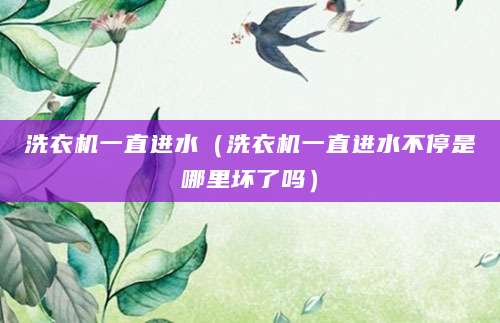 洗衣机一直进水(洗衣机一直进水不停是哪里坏了吗)