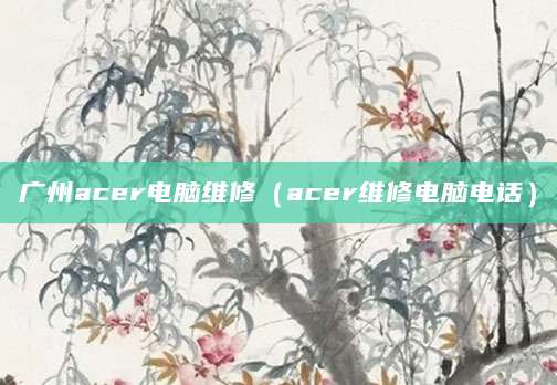 广州acer电脑维修（acer维修电脑电话）