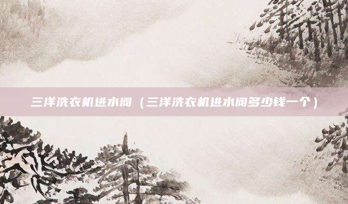 三洋洗衣机进水阀（三洋洗衣机进水阀多少钱一个）