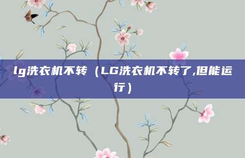 lg洗衣机不转（LG洗衣机不转了,但能运行）
