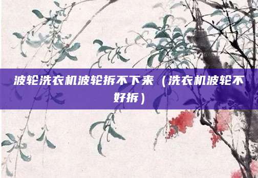 波轮洗衣机波轮拆不下来（洗衣机波轮不好拆）