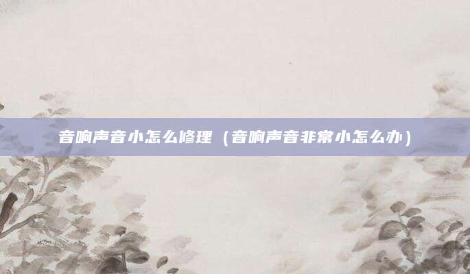音响声音小怎么修理（音响声音非常小怎么办）