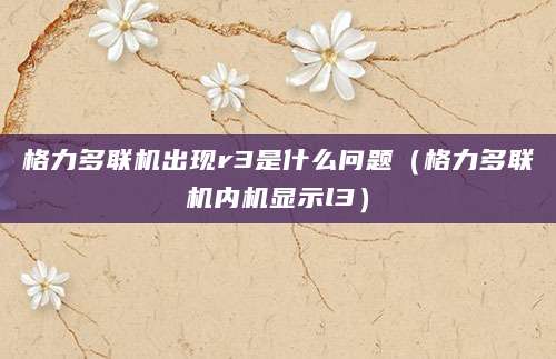 格力多联机出现r3是什么问题（格力多联机内机显示l3）