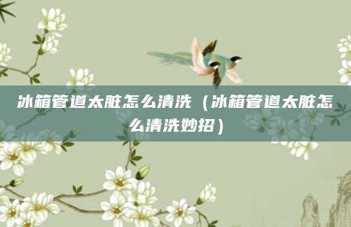 冰箱管道太脏怎么清洗（冰箱管道太脏怎么清洗妙招）