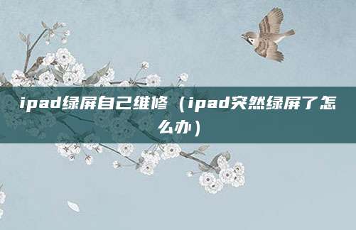 ipad绿屏自己维修(ipad突然绿屏了怎么办)