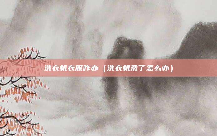 洗衣机衣服咋办(洗衣机洗了怎么办)