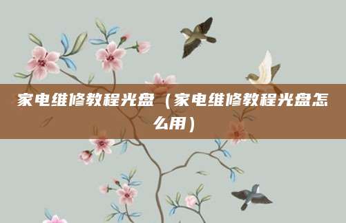 家电维修教程光盘（家电维修教程光盘怎么用）