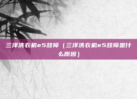 三洋洗衣机e5故障（三洋洗衣机e5故障是什么原因）