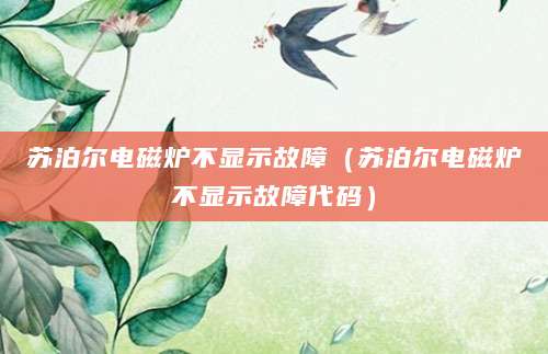 苏泊尔电磁炉不显示故障（苏泊尔电磁炉不显示故障代码）