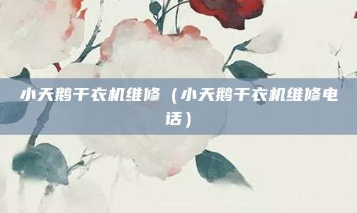 小天鹅干衣机维修（小天鹅干衣机维修电话）