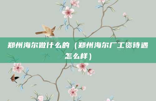 郑州海尔做什么的（郑州海尔厂工资待遇怎么样）