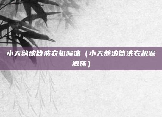 小天鹅滚筒洗衣机漏油（小天鹅滚筒洗衣机漏泡沫）