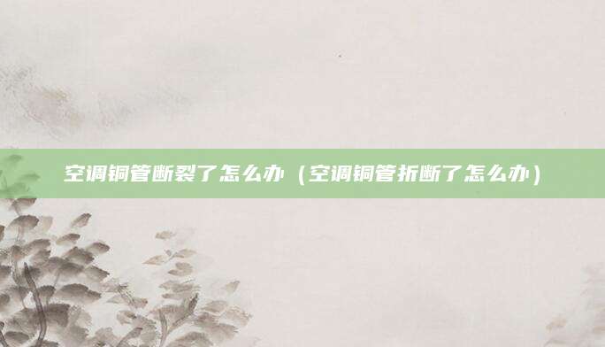 空调铜管断裂了怎么办（空调铜管折断了怎么办）