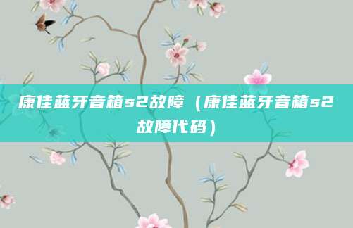康佳蓝牙音箱s2故障（康佳蓝牙音箱s2故障代码）