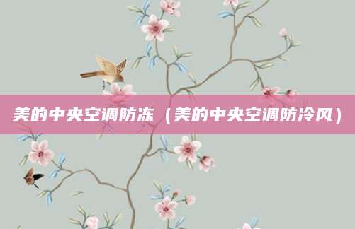 美的中央空调防冻（美的中央空调防冷风）