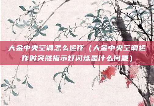 大金中央空调怎么运作（大金中央空调运作时突然指示灯闪烁是什么问题）