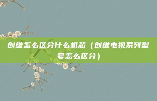 创维怎么区分什么机芯（创维电视系列型号怎么区分）