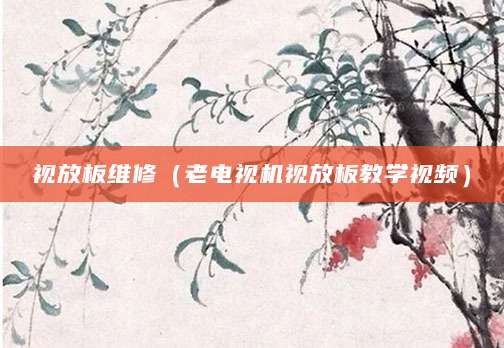 视放板维修（老电视机视放板教学视频）