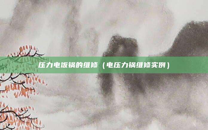 压力电饭锅的维修（电压力锅维修实例）