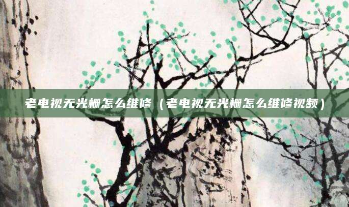 老电视无光栅怎么维修（老电视无光栅怎么维修视频）