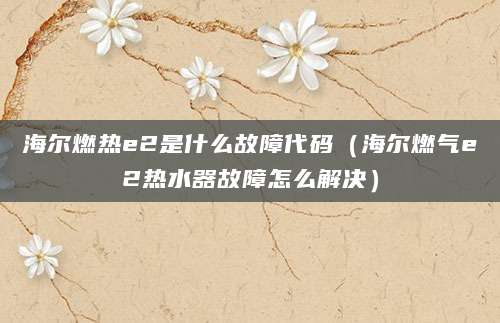海尔燃热e2是什么故障代码（海尔燃气e2热水器故障怎么解决）