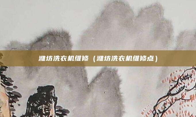 潍坊洗衣机维修（潍坊洗衣机维修点）