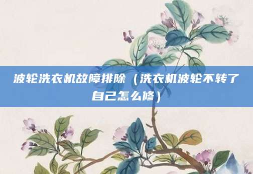 波轮洗衣机故障排除（洗衣机波轮不转了自己怎么修）