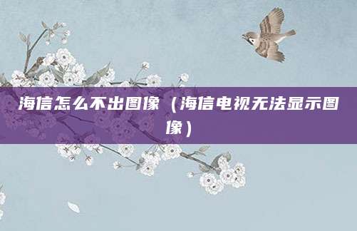 海信怎么不出图像（海信电视无法显示图像）
