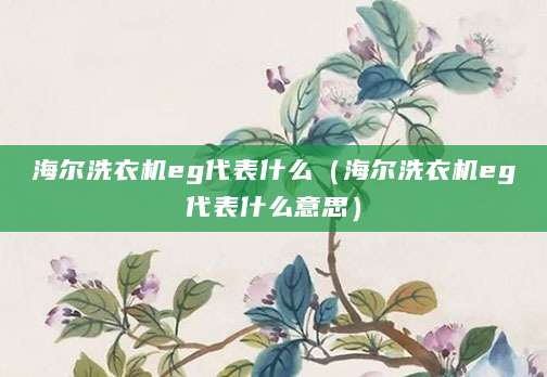 海尔洗衣机eg代表什么（海尔洗衣机eg代表什么意思）