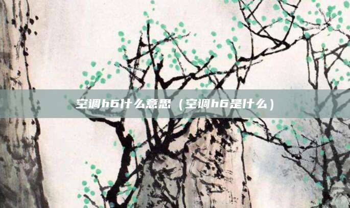 空调h6什么意思（空调h6是什么）