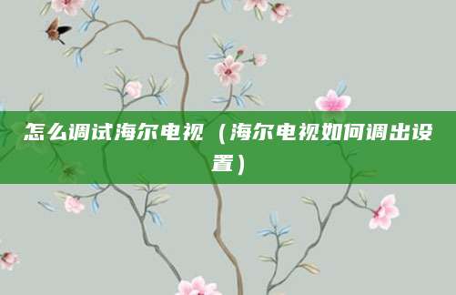怎么调试海尔电视（海尔电视如何调出设置）