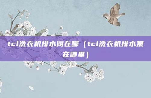 tcl洗衣机排水阀在哪（tcl洗衣机排水泵在哪里）