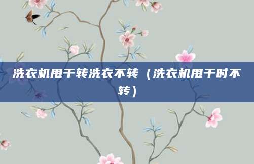 洗衣机甩干转洗衣不转（洗衣机甩干时不转）