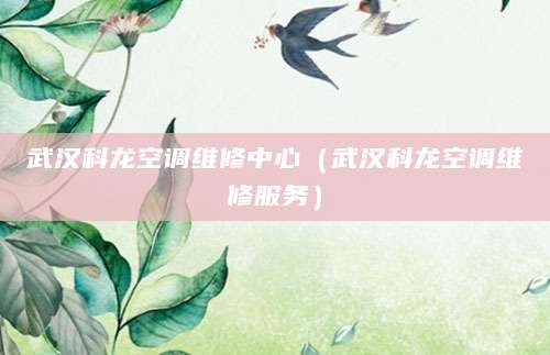 武汉科龙空调维修中心（武汉科龙空调维修服务）