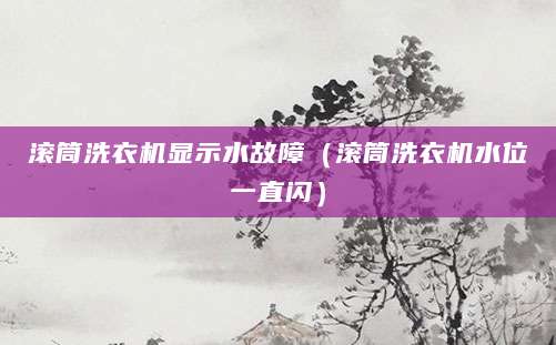 滚筒洗衣机显示水故障（滚筒洗衣机水位一直闪）