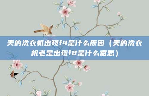 美的洗衣机出现f4是什么原因（美的洗衣机老是出现f8是什么意思）