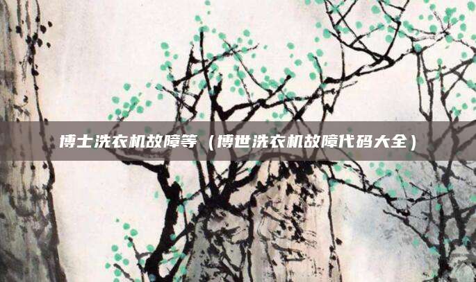 博士洗衣机故障等（博世洗衣机故障代码大全）