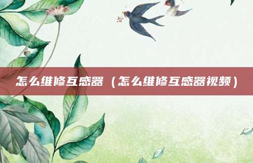 怎么维修互感器（怎么维修互感器视频）